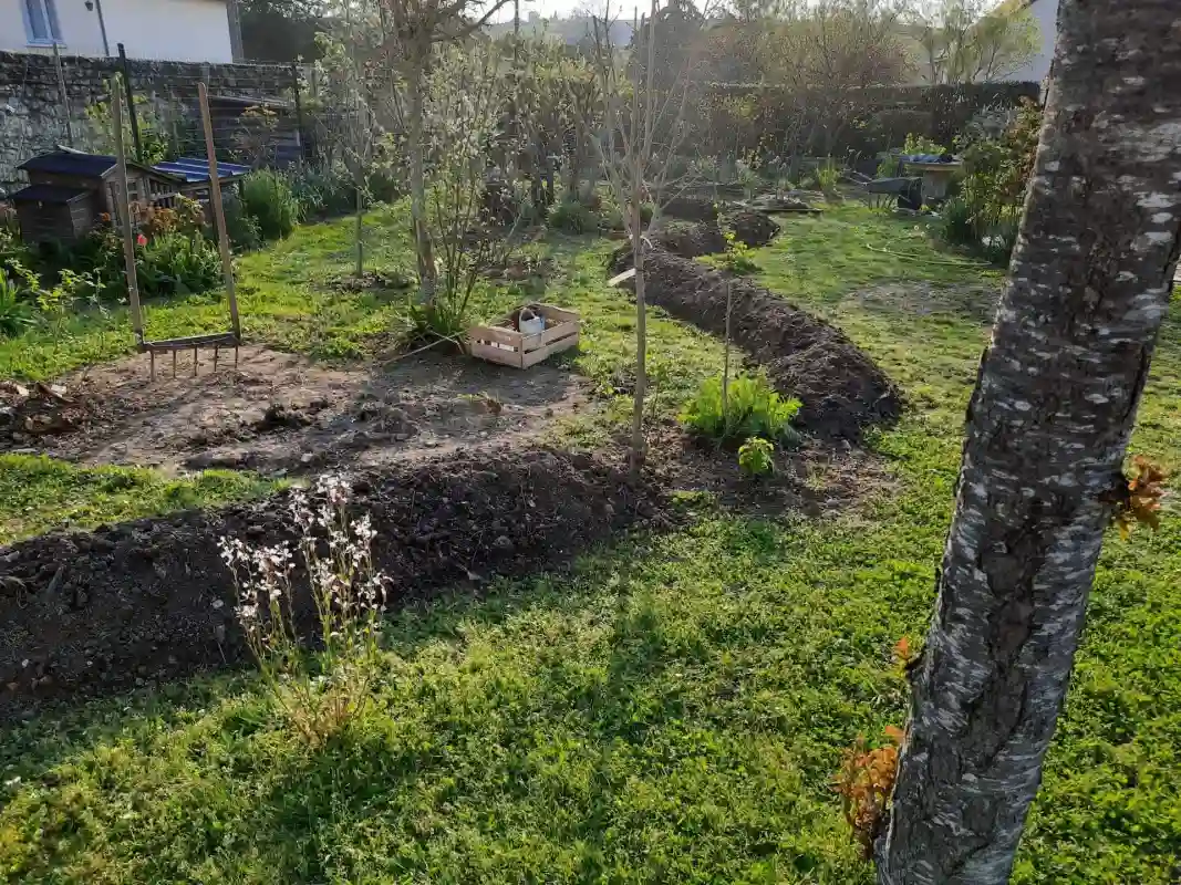 H2p Jardins Paysagiste Sainte Maure De Touraine Realisation 46
